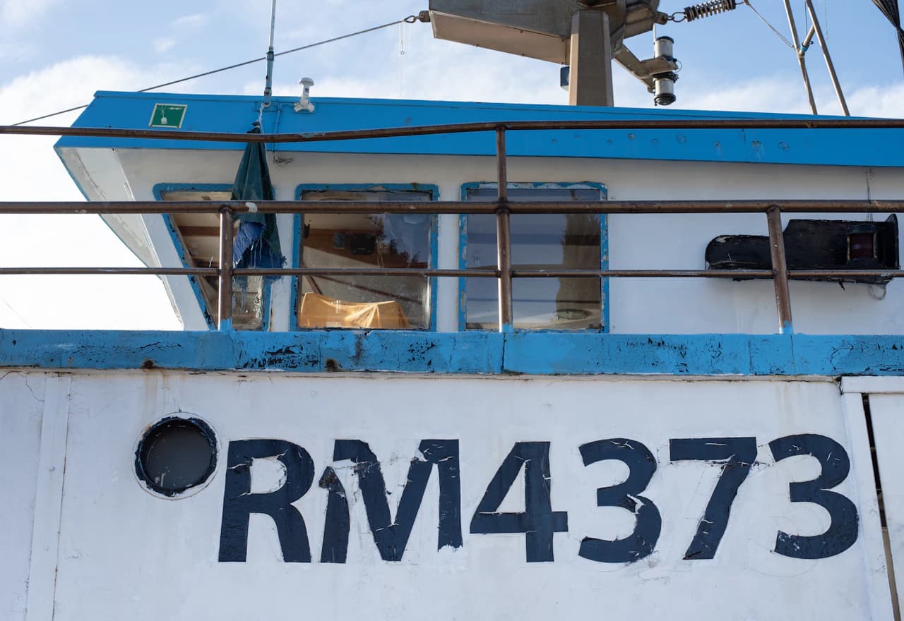 Anticorrosive coatings